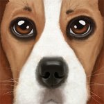 宠物狗模拟器中文版v1.2最新版