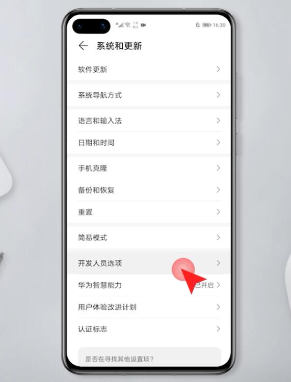 华为手机怎么打开开发者选项(6)
