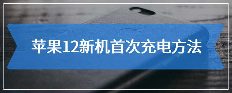 苹果12新机首次充电方法