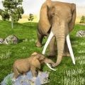 非洲野生大象v1.2
