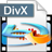 4Easysoft Blu-ray to DivX Ripper(视频转换器)