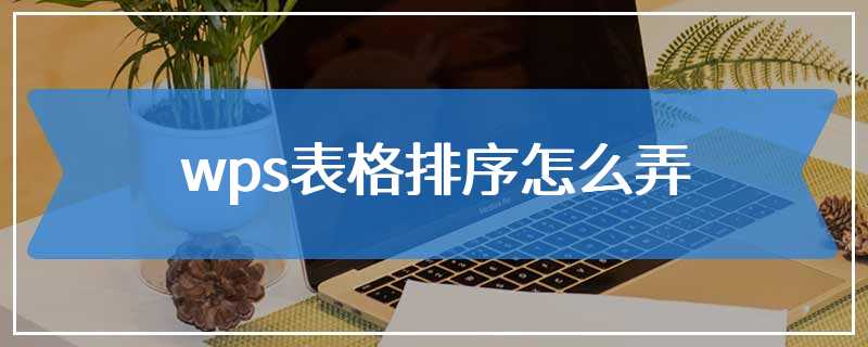 wps表格排序怎么弄