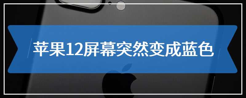 苹果12屏幕突然变成蓝色