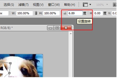PS旋转图片,PS怎么旋转图片、图层？(3)