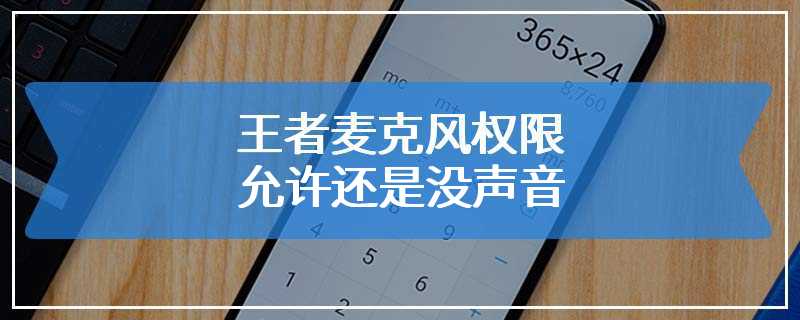 王者麦克风权限允许还是没声音