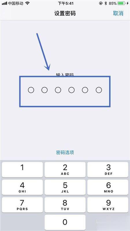 手机跳出一个确认iphone密码(3)