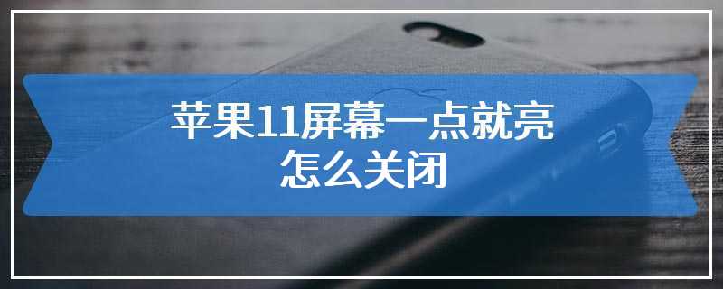 苹果11屏幕一点就亮怎么关闭