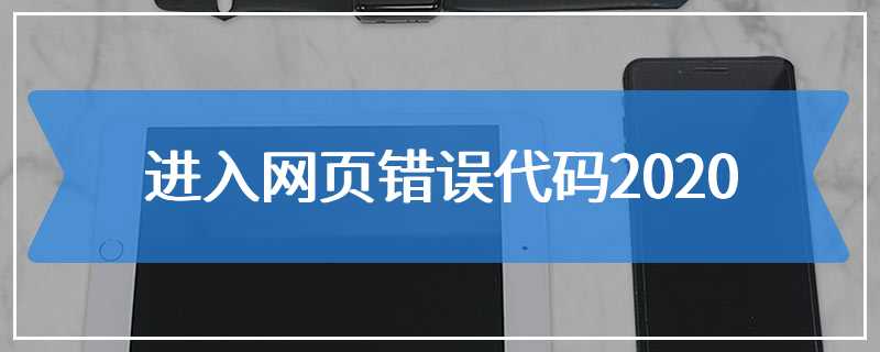 进入网页错误代码2020