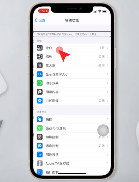苹果手机打开旁白怎么取消(2)