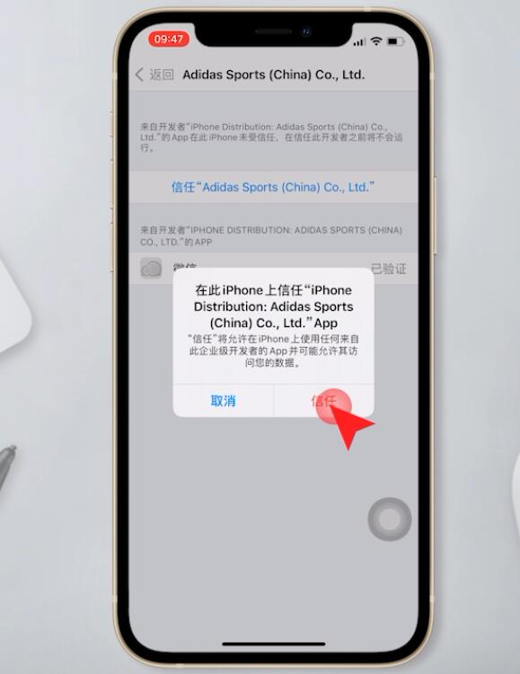苹果手机描述文件不见了怎么恢复(4)