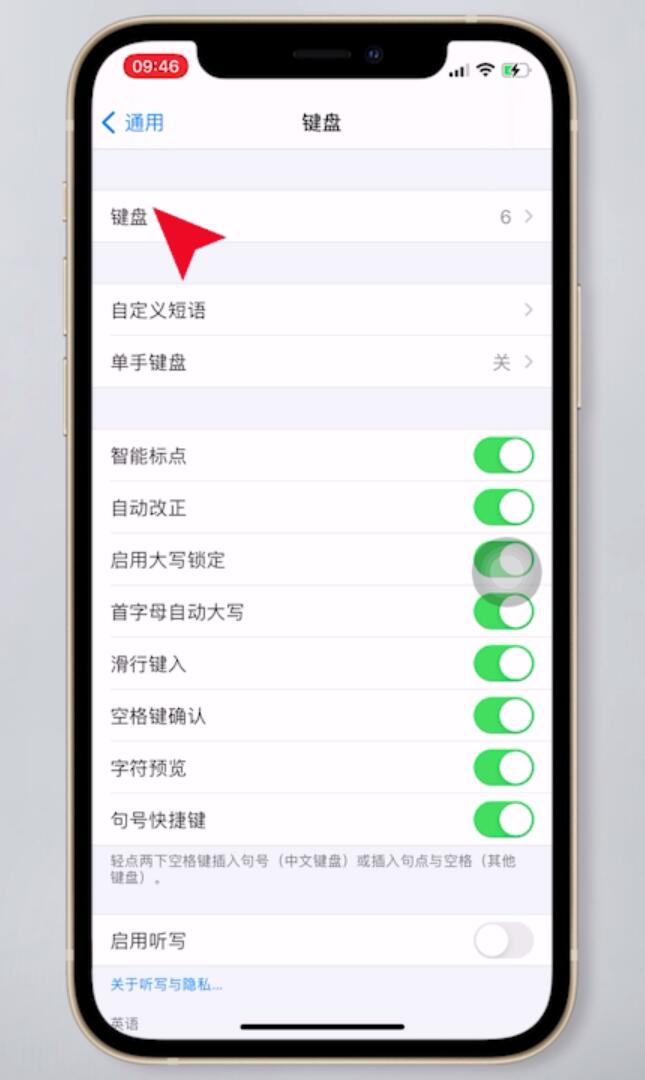 苹果手机键盘怎么设置(3)