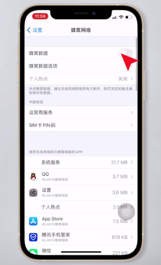 苹果手机移动数据怎么开(2)