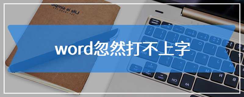 word忽然打不上字