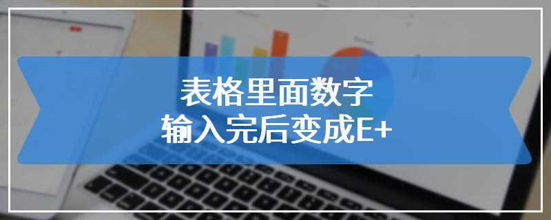 表格里面数字输入完后变成E+