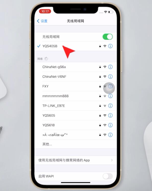 苹果手机连上wifi却不能上网(2)