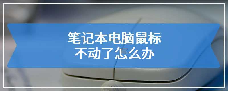 笔记本电脑鼠标不动了怎么办