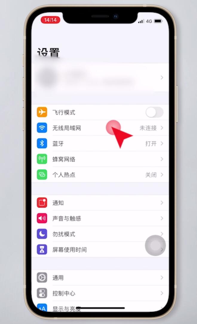 苹果手机无法加入网络是怎么回事(6)