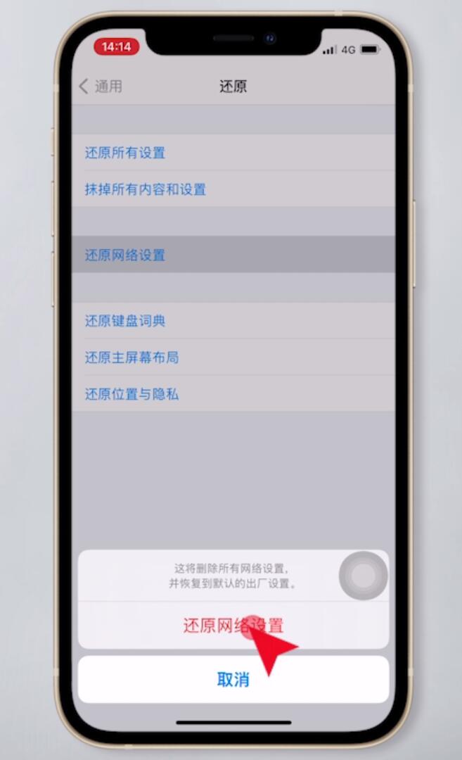 苹果手机无法加入网络是怎么回事(5)