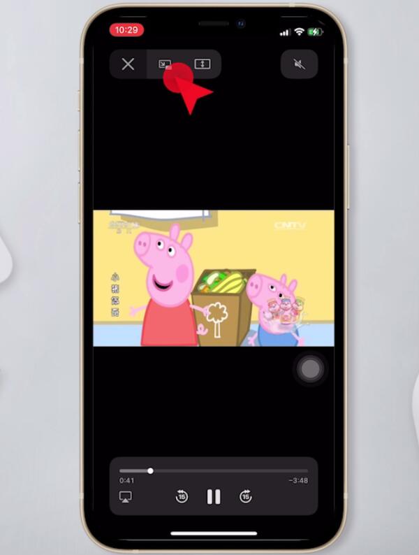 苹果手机画中画怎么用(6)