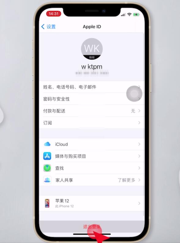 apple id灰色无法退出登录(2)