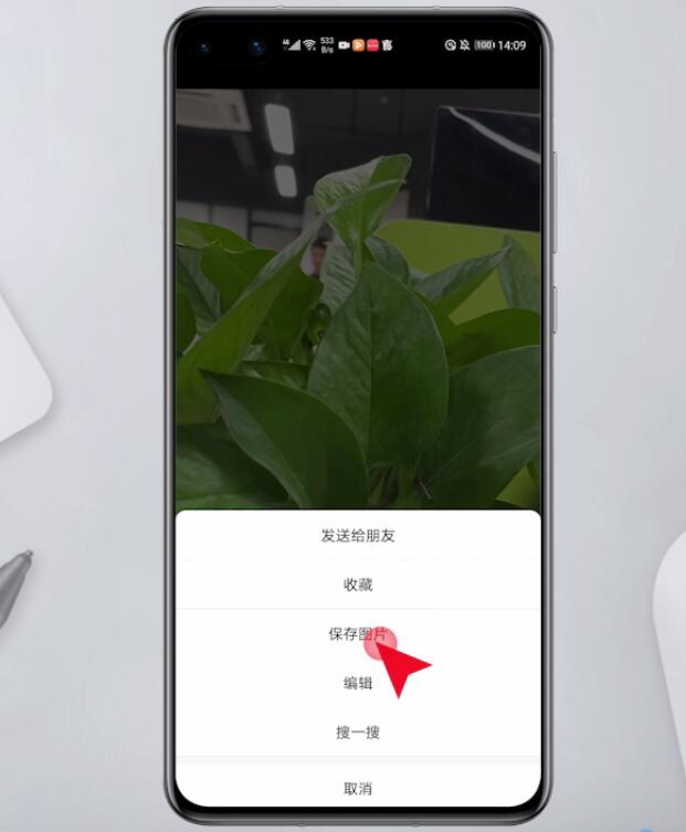 怎么转发朋友圈(21)