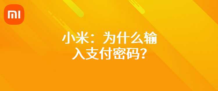 小米：为什么输入支付密码？