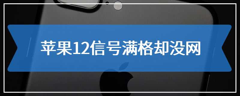 苹果12信号满格却没网