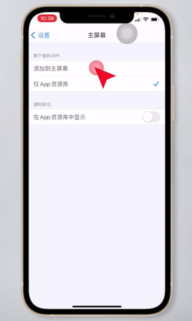 ios14app资源库怎么关闭(2)