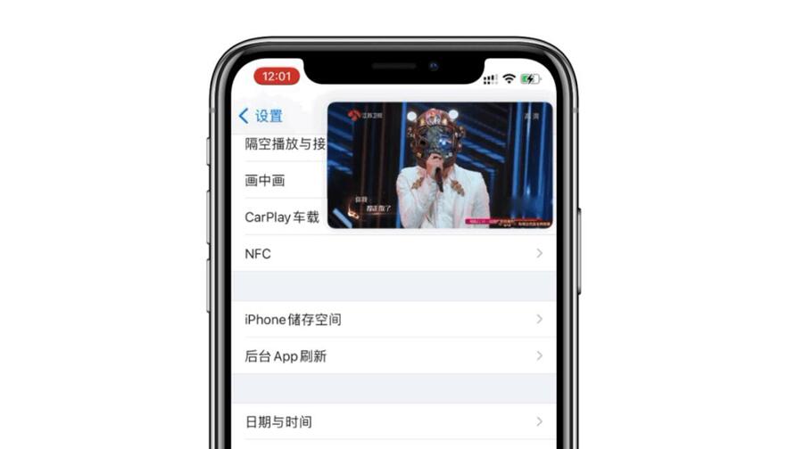 ios14画中画支持什么应用