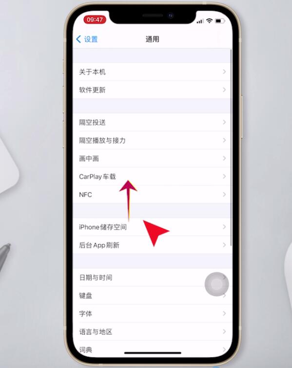 ios14.4设备管理信任在哪里(2)