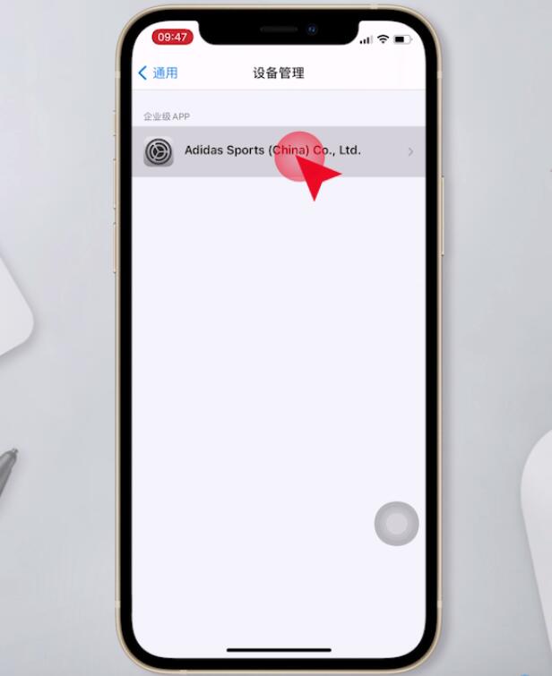 ios14设置里没有描述文件(4)