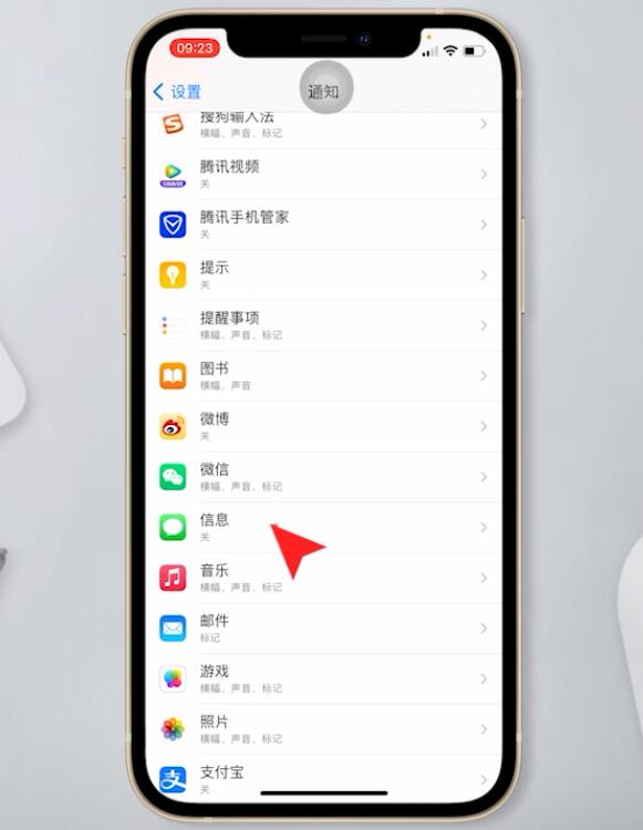 苹果手机短信不显示在屏幕上(2)