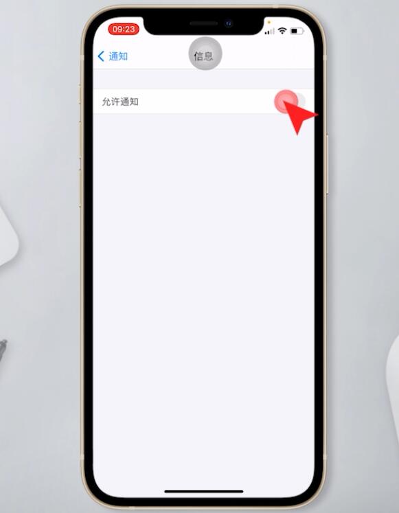 苹果手机短信不显示在屏幕上(3)