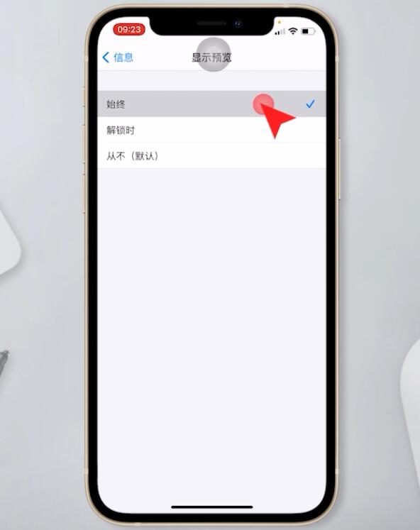 苹果手机信息不显示在屏幕上怎么设置(5)