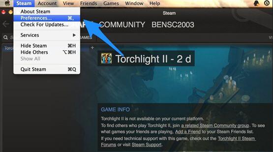电脑怎么设置Steam显示中文界面
