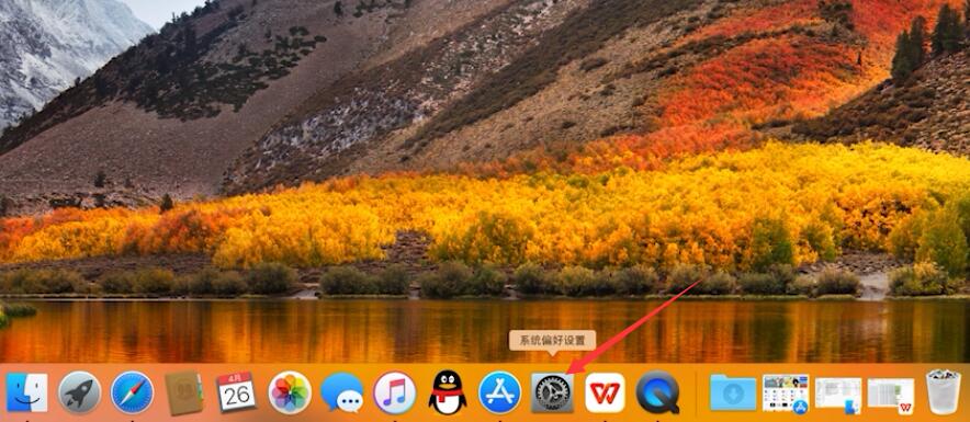 电脑中毒上不了网(6)
