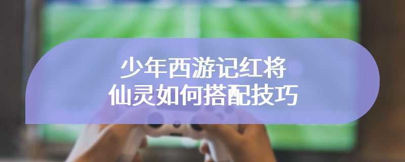 少年西游记红将仙灵如何搭配技巧