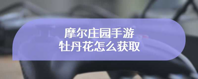 摩尔庄园手游牡丹花怎么获取