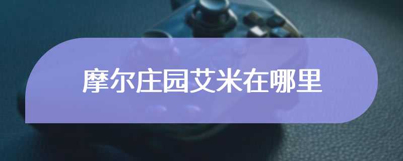 摩尔庄园艾米在哪里