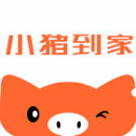 小猪到家