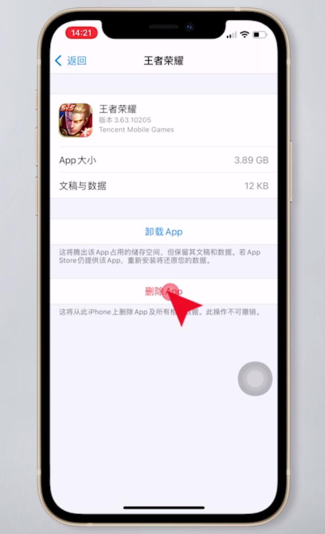 苹果手机王者荣耀怎么清理缓存(4)