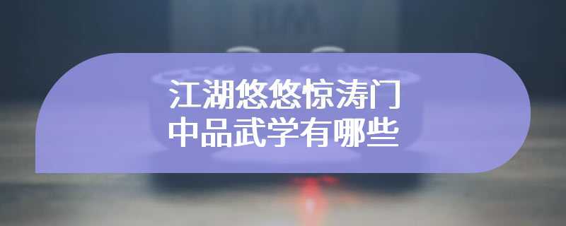 江湖悠悠惊涛门中品武学有哪些