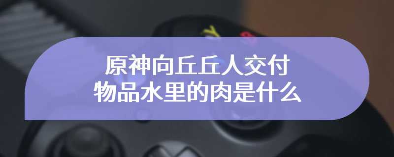 原神向丘丘人交付物品水里的肉是什么