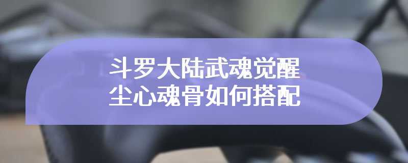 斗罗大陆武魂觉醒尘心魂骨如何搭配