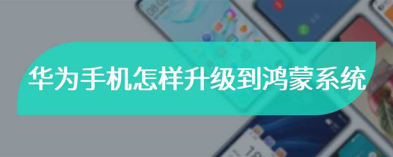 华为手机怎样升级到鸿蒙系统