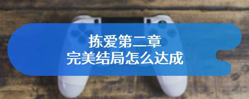 拣爱第二章完美结局怎么达成