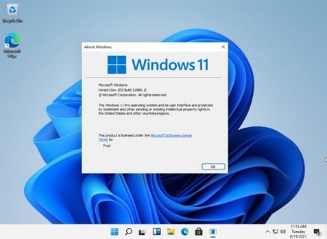 windows11右下角消息栏怎么关闭(1)