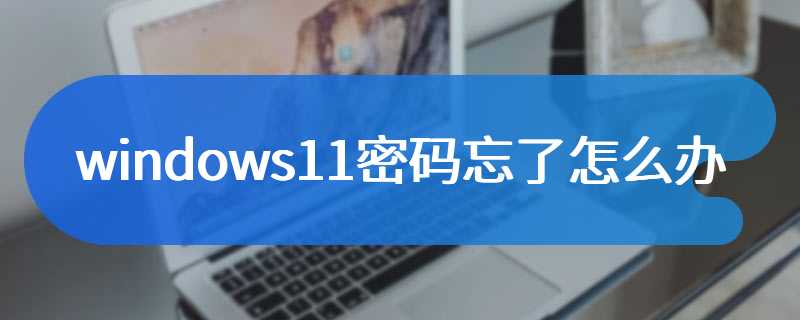 windows11密码忘了怎么办