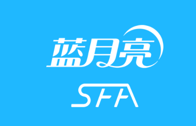 蓝月亮SFA 