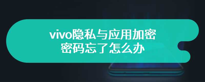 vivo隐私与应用加密密码忘了怎么办